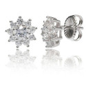 Pendientes plata Chambord Camaleoni. - WP048/CP