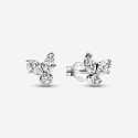 PENDIENTES PANDORA HERBARIO BRILLANTE - 292406C01