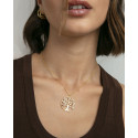 COLLAR PLATA DE LEY BAÑO ORO CIRC SRA JE - 9148C100-30